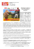 Alla Masseria Triticum il parco “The World of dinosaurs”