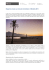 Rapporto annuale sul mercato immobiliare di Marbella 2015