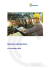 Relazione sulla gestione al 31 Dicembre 2013