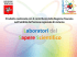 FIIC826001_le soluzioni