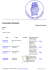 Ceramiche Nicastro