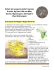 Safari alla scoperta della Tanzania Arusha, Ng`Iresi, Mto wa Mbo