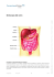 Idroterapia del colon - Paracelsus Klinik Al Ronc