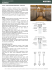 Technical sheet