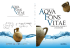 Aqva Fons Vitae. Identità storia e memoria di una comunità