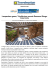 Lampedusa green, TripAdvisor premia Dammusi Borgo Cala Creta