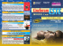 Prog Cineforum Este 2014 2 ciclo_prog