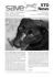 STD News n°15 - Save the Dogs