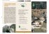Capre e pecore del territorio Capre e pecore del territorio