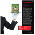 dell`articolo in pdf