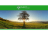 Scarica presentazione - Talent Tree Consulting srl