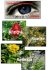 catalogo blu - Erboristeria carmen