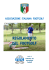 Regolamento di Gioco (v1.1)