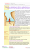 Terapia ormonale per la menopausa - Salute Emilia