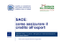 SACE: come assicurare il credito all`export