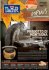 Newsletter n.12 - November 2013