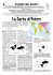 La Carta di Peters
