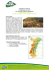 Tour PDF - FUNActive Tours