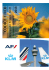 Leggere il Codice Etico Gruppo Air France-KLM