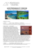 SAN FRANCISCO E HAWAII