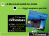 Diapositiva 1 - Gruppo Forest