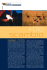 versione PC World - CIcconi SErgio Net