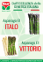 Asparago Italo e Vittorio