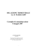 Relazione trimestrale al 31 marzo 2007
