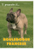 BOULEDOGUE FRANCESE