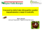 Il moscerino della frutta (Drosophila suzukii): inquadramento e