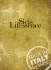 Sicis Catalog - Borsari Group
