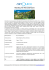 newsletter 15 dic - mauritius