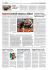 Giornale di Brescia 19082013