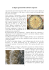 Le figure geometriche nell`arte rupestre