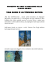 VAN GOGH E LA TECNICA DIVISA