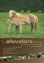 n° 4 LUG - AGO - Federazione Provinciale Allevatori