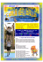 Anno 3 - luglio 2007 - N.29 ................................................ enjoy!