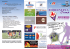 Brochure "Fiorentina Camp Jesolo 2008"