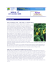 NEWS N. 17 - Euromed Carrefour Sicilia