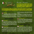 regole in modo collaborazione regole competitive