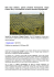 Olio Dop Umbria, parola d`ordine formazione. Dopo l`anno nero, ora