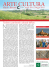 Numero 6, Aprile – Maggio 2014
