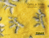 Brochure dell`azienda