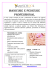 manicure e pedicure professional