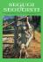 segugi segugisti - Segugi e Segugisti