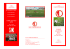 CAMP ESTIVO 2016 - Campodarsego Calcio