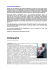 Osteopatia - Marco Magistrelli osteopata | Osteopatia Ancona