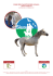 corso per coadiutore del cavallo