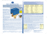 SF_3Vie_ 5Lingue.qxd