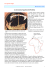 La circumnavigazione dell`Africa